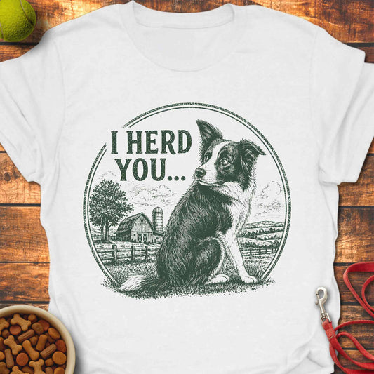 Border Collie Attitude